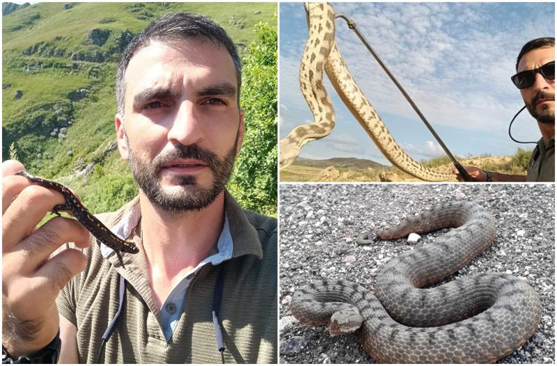 "საქართველოს ორ რეგიონში შხამიანი გველი ბინადრობს" - როგორ მოვიქცეთ, თუ გველმა გვიკბინა და რა მოხდა რეალურად გასულ კვირას აჭარაში: ინტერვიუ ჰერპეტოლოგთან