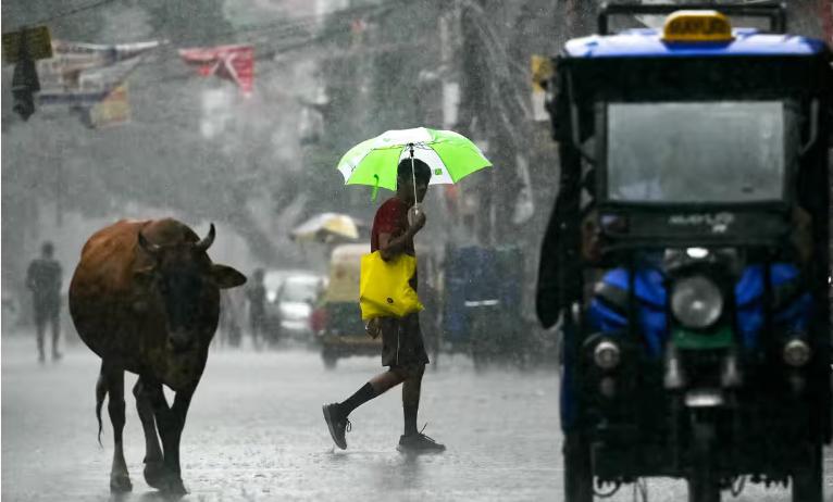 194 ადამიანი დაიღუპა, თითქმის 200-ს კი ეძებენ - დელიში რეკორდული რაოდენობის ნალექი მოვიდა
