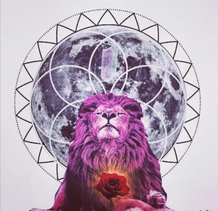 ლომში ახალმთვარეობის ასტროლოგიური პროგნოზი ზოდიაქოს ყველა ნიშნისთვის