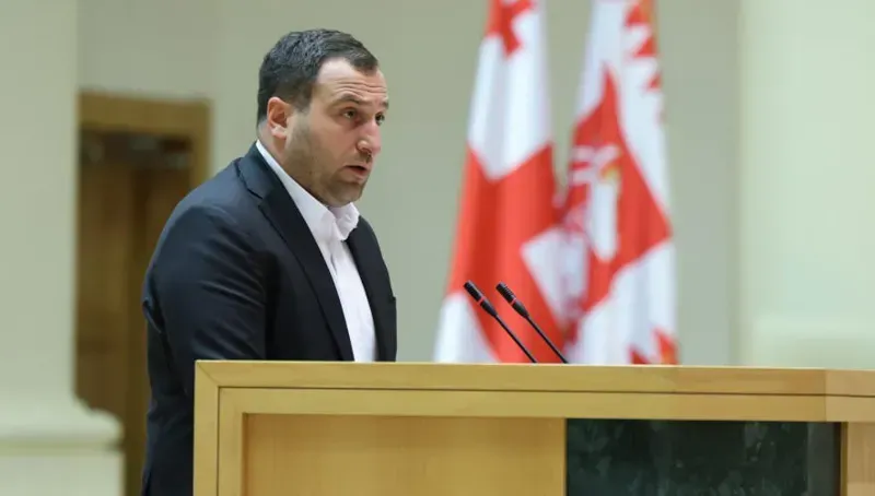"სალომე ზურაბიშვილი როცა ბიძინა ივანიშვილს დებატებში იწვევს, მინიმუმ, თავისი ტოლი ნახოს" - ფრაქცია "ქართული ოცნების" თავმჯდომარის მოადგილე