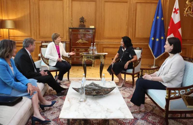 სალომე ზურაბიშვილი სენატორ ჯინ შაჰინსა და კონგრესმენ მაიკ ტერნერს ხვდება