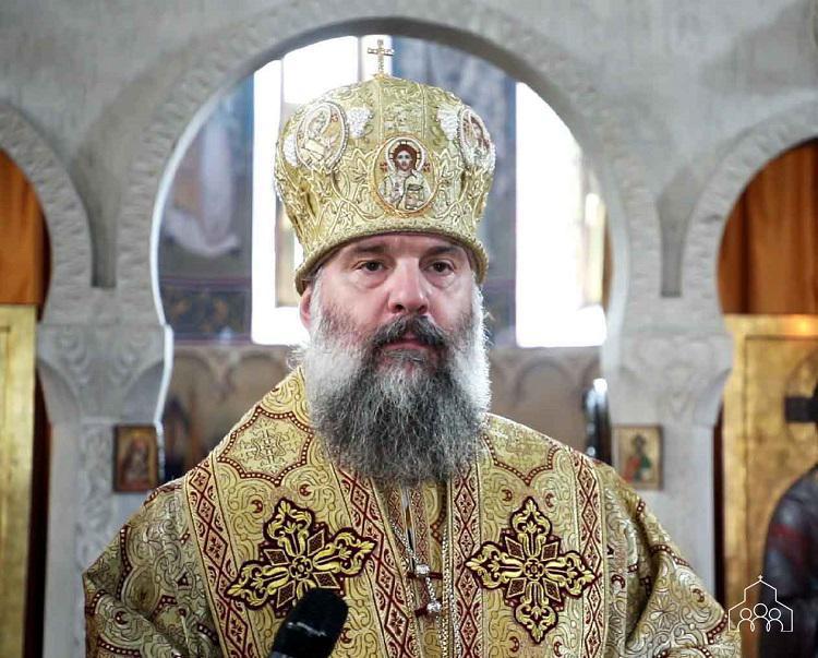 “ყველანაირი ტანჯვის მიზეზი მდგომარეობს იმაში, რომ ადვილად ვემორჩილებით, ადვილად ვემონებით ვნებებს და ისინი გვაიძულებენ, ჩავიდინოთ ცოდვები“ - მეუფე შიო