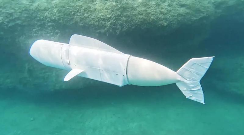 გაიცანით "ევა" - დნმ-ის შემგროვებელი რობოტი თევზი, რომელიც მსოფლიო ოკეანის შესასწავლად შექმნეს