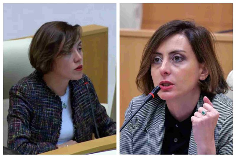 "რაც შენ პარტია უსამართლოდ აჯანჯღარე, რაც შენ იკადრე, ახლა რა შეიცვალა, უკან რომ ბრუნდები ხატია?" - რას წერს ანა წითლიძე დეკანოიძის "ნაცმოძრაობაში" დაბრუნებაზე