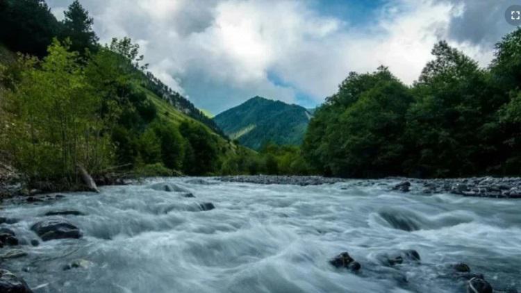 მდინარე ლიახვში მამაკაცის ცხედარი იპოვეს - რა დეტალები ხდება ცნობილი