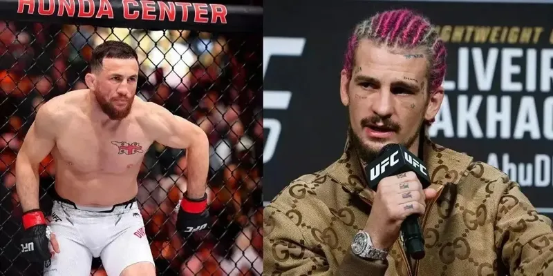 "საქართველოში ყველა უსუსურები ხართ? მერაბს ნოკაუტით მოვუგებ" - დვალიშვილსა და შონ ო'მალს შორის დაძაბულობა იზრდება: სკანდალური განცხადებების სერია