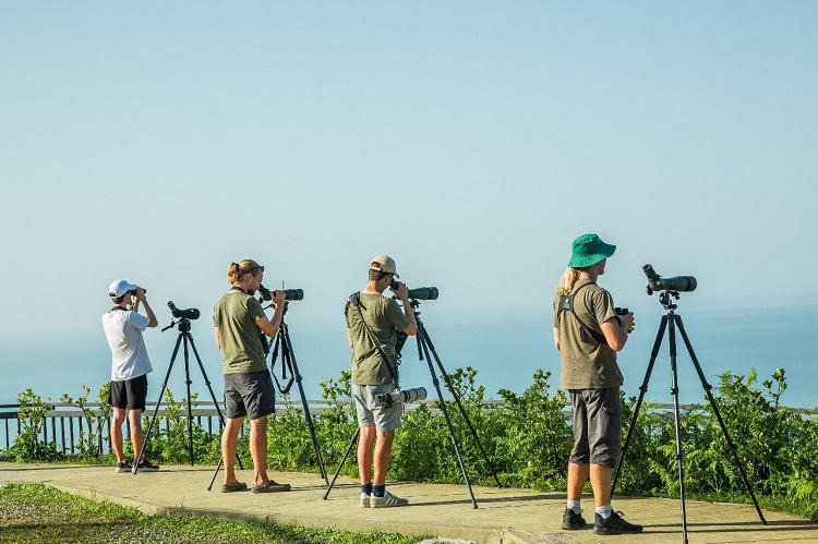 აჭარაში ფრინველებზე დაკვირვების საერთაშორისო ფესტივალი ჩატარდება