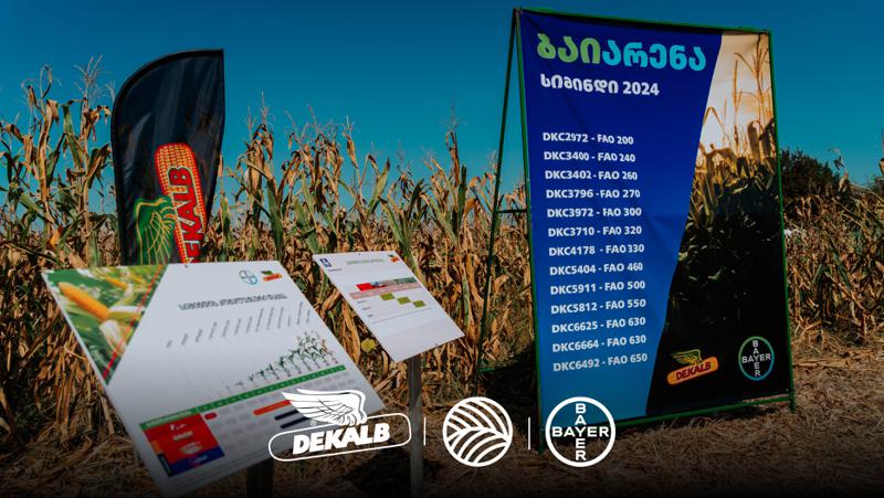 "აგროსფეროს" ორგანიზებით სიმინდის მინდვრის დღე "ბაიარენა" ჩატარდა