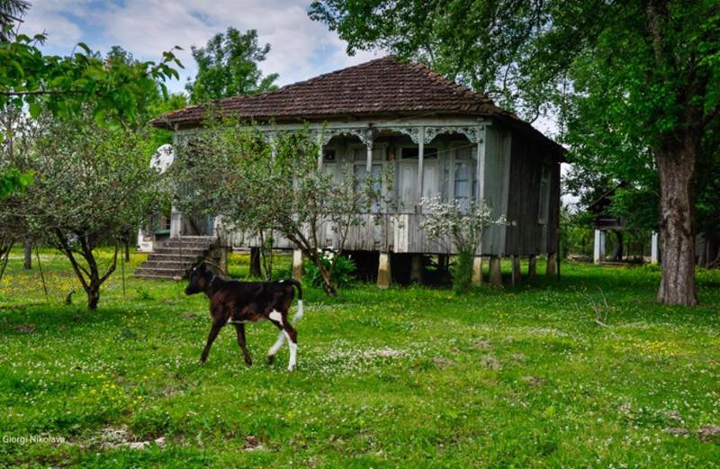 რა ეტაპზეა და როდის დასრულდება ოდა სახლების პროექტი?