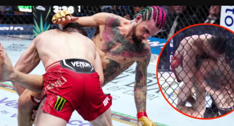 "მსურდა, რომ ეს ეგრძნო" - მერაბ დვალიშვილი განმარტავს, რატომ აკოცა ბრძოლის დროს შონ ო'მალის