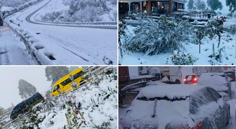 "ეს კოშმარია, მსგავსი რამ აქ არ მინახავს" - სამხრეთ აფრიკაში დიდთოვლობაა (ფოტოები)