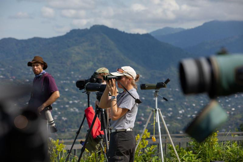 აჭარაში ფრინველებზე დაკვირვების საერთაშორისო ფესტივალი გაიხსნა