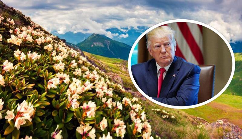 ტრამპის საარჩევნო შტაბს ჯორჯიის შტატი და საქართველო აერია - საარჩევნო რეკლამაში შეცდომით, საქართველოს ფოტო ჩასვეს