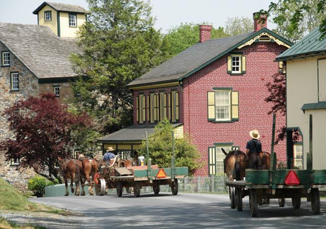 ისინი დღემდე მე-18 საუკუნეში ცხოვრობენ, სადაც ყველაფერი ბუნებრივი და უბრალოა - მოგზაურობა ამიშების ქალაქში