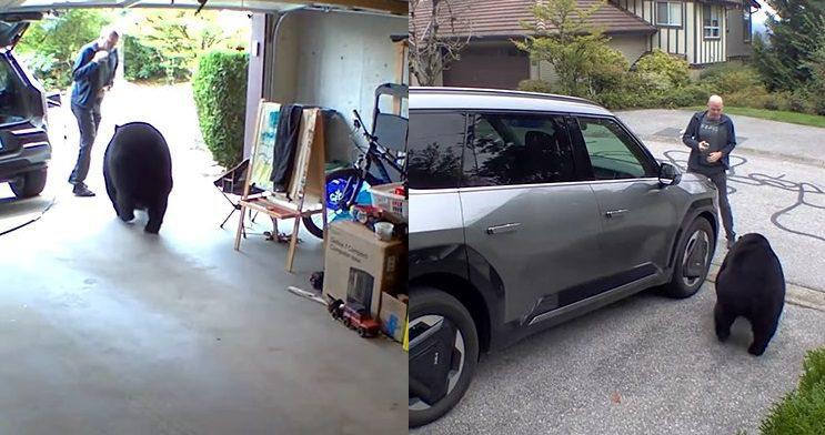 ავტოფარეხში შესული კაცი დათვს შეეჩეხა - როგორ გადაურჩა ის ცხოველის თავდასხმას: ამაღელვებელი კადრები სოციალური ქსელიდან