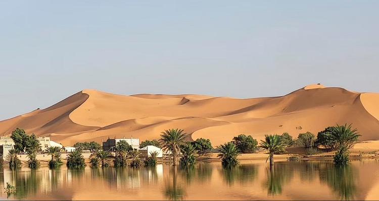 საჰარას ნაწილი დაიტბორა - ფოტოები დედამიწის ყველაზე მშრალი უდაბნოდან, სადაც იშვიათმა ნალექმა წარმოუდგენელი პეიზაჟები შექმნა