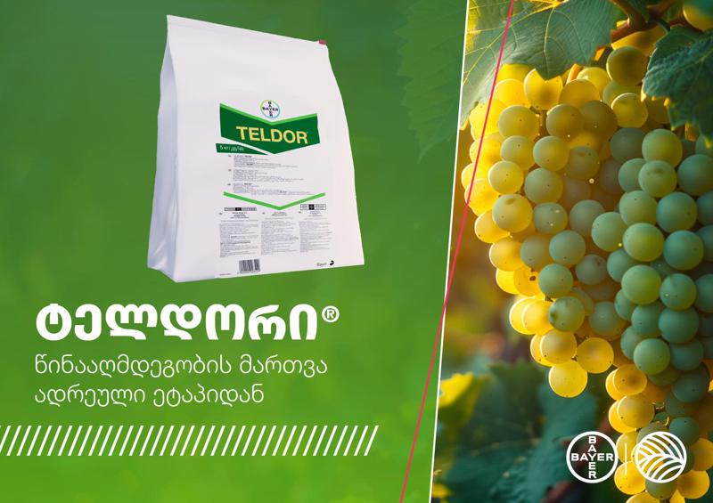 ტელდორი – ახალი დაბალტოქსიკური ფუნგიციდი სასოფლო-სამეურნეო კულტურებისთვის