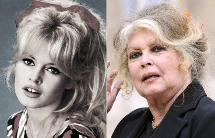 "მახინჯი იხვის ჭუკი ვიყავი" -  ყველაზე ლამაზი ქალი, რომელიც თავს უშნოდ თვლიდა - რატომ უარყო შვილმა ბრიჯიტ ბარდო: ვარსკვლავის სკანდალური ცხოვრება