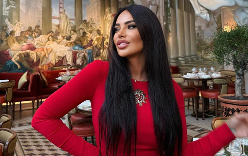 "ამდენი გაავებული ქალის ატანა რთულია, რატომ უნდა ვითმინო ეს შეურაცხყოფა?  ან დააბით, ან ინტერნეტი გადაუჭერით ამ ქალებს" - შორენა ბეგაშვილი მიმართვას აქვეყნებს