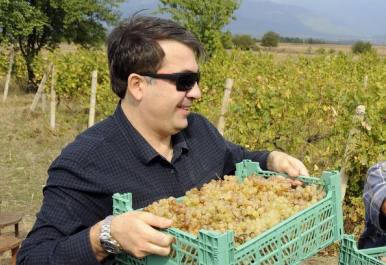 "ჩემი ვენახისთვის ჩემმა ძმამ აიღო ვალი... სამწუხაროდ ვენახი დაისეტყვა და დავრჩით ყურძნის გარეშე და ვალ-აკიდებული" - რას წერს სააკაშვილი?