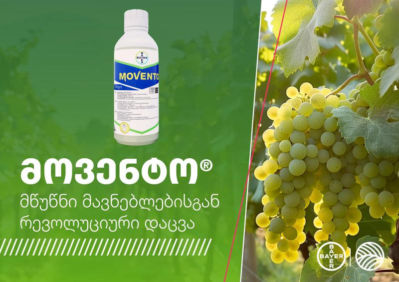 მოვენტო – მცენარის დაცვის რევოლუციური გადაწყვეტა