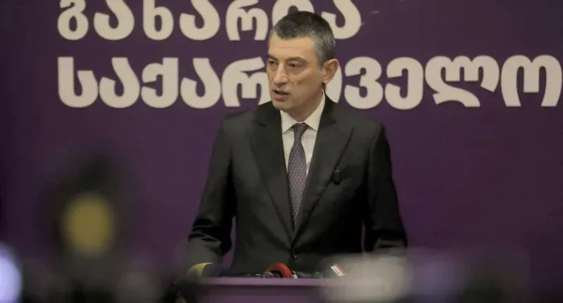 "საპატიო თავმჯდომარეს აგიჟებენ, იმ დონემდე მიიყვანეს, რომ უხარია, აშშ-ის ელჩს რომ შეხვდება - ყოჩაღ! მაგარი პროგრესია!" - გიორგი გახარია