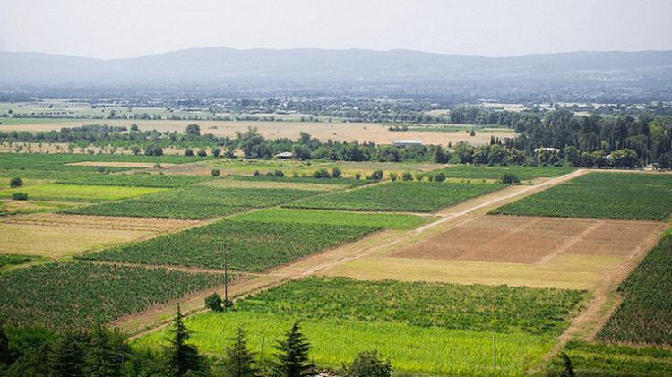 მიწის სისტემური რეგისტრაციის პროგრამა გრძელდება - რა ვადებში შეძლებენ მოქალაქეები ნაკვეთის უფასოდ დარეგისტრირებას?