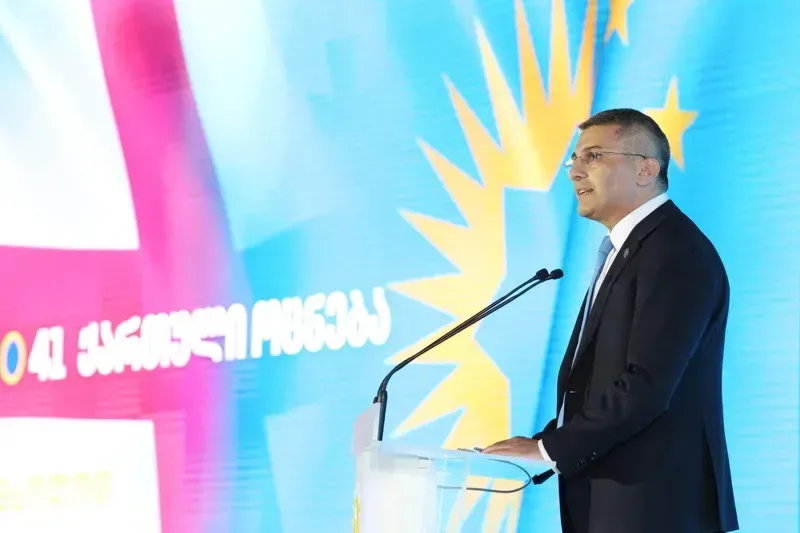 "მე პირადად მოლოდინი მქონდა, რომ 100 მანდატი გვექნებოდა" - მდინარაძე