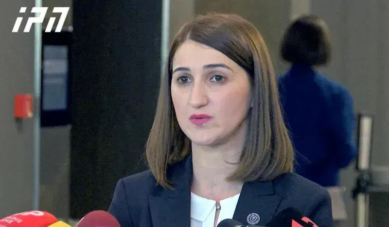 "შემუშავებული იყო არჩევნების გაყალბების კომპლექსური სქემა..." -  ლონდა თოლორაიას განცხადება