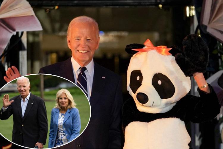 ჯილ ბაიდენმა “ჰელოუინზე“  პანდის ფორმა მოირგო და აშშ-ის პრეზიდენტთან ერთად სტუმრებს თეთრ სახლში უმასპინძლა (ვიდეო)
