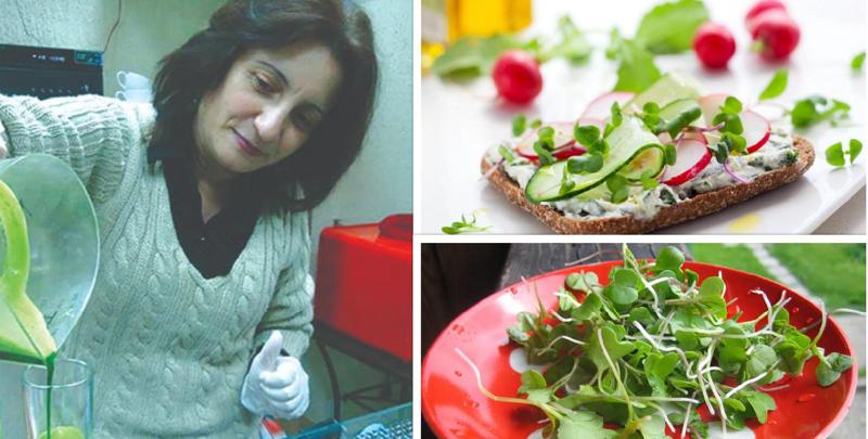 წმენდს ორგანიზმს მავნე ნივთიერებებისგან და ავსებს სასარგებლო მინერალებით - რა არის მიკრომწვანილი და როგორ მოჰყავთ ის?