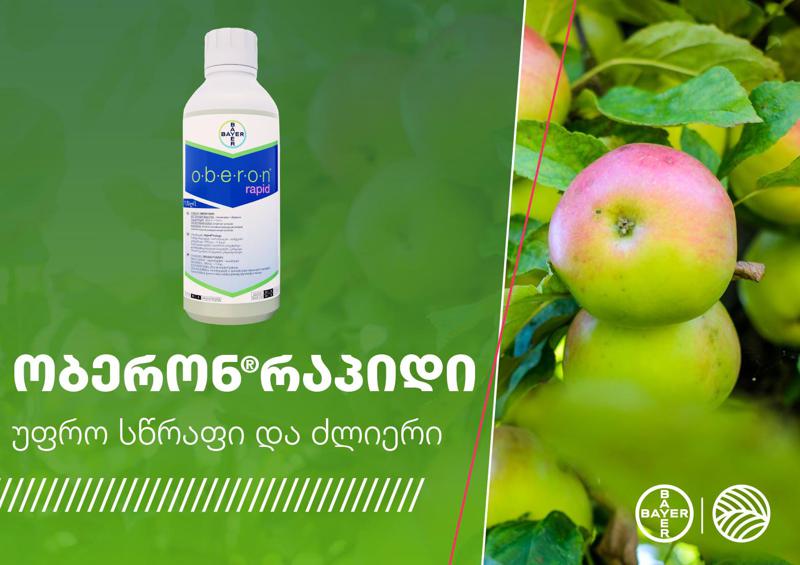 ობერონ რაპიდი – კონტაქტურ-სისტემური აკარიციდი მცენარის ტკიპებისგან დასაცავად