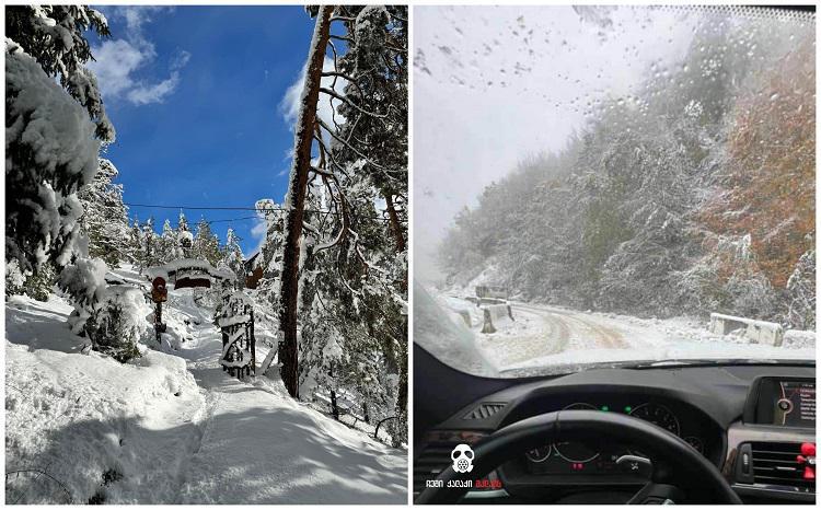 საქართველოში პირველი თოვლი მოვიდა - ფოტო და ვიდეო რეგიონებიდან, სადაც ატმოსფერულმა ნალექმა ულამაზესი პეიზაჟები შექმნა