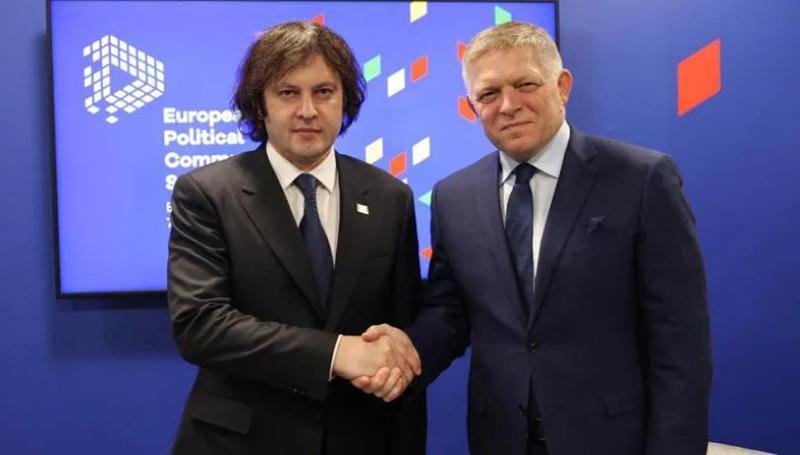 ირაკლი კობახიძე ბუდაპეშტში რობერტ ფიცოს შეხვდა