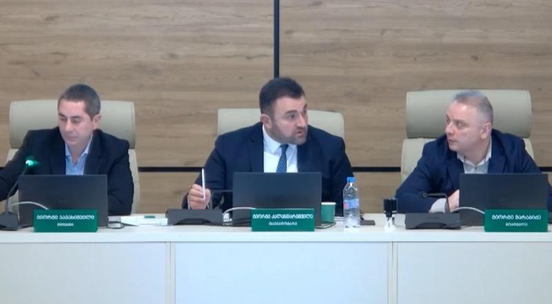 "მესმის აღშფოთება, არ მოგწონთ, როდესაც სიმართლეს გეუბნებით" - ცესკო-ში საჩივრების განხილვა ხმაურის ფონზე მიმდინარეობს (ვიდეო)