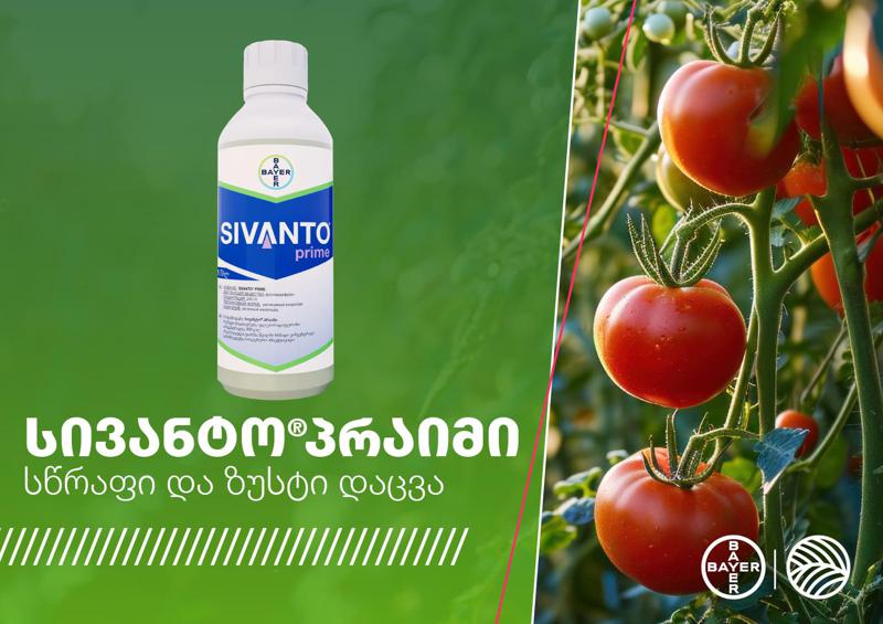 სივანტო პრაიმი – მწუწნი მავნებლების კონტროლის ახალი სტანდარტი