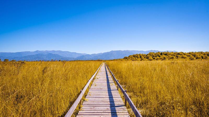 ქობულეთის ტორფნარზე ახალი ტურისტული ბილიკი ამოქმედდა