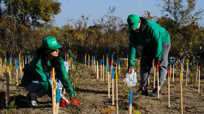 გაზარდე საკუთარი ტყე - "თეგეტა" რუსთავში გამწვანების მასშტაბურ კამპანიას შეუერთდა