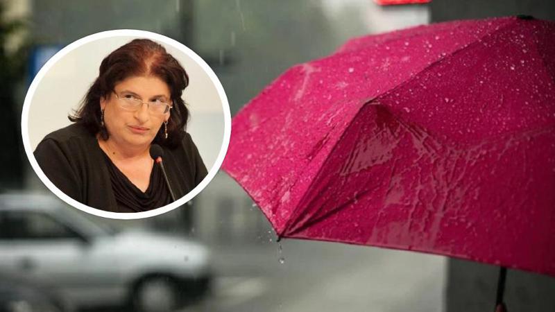 "პრობლემური ხდება განსაკუთრებით აღმოსავლეთ საქართველო“ - როგორი კლიმატი იქნება საქართველოში 2025 წლისთვის და რას ამბობს გარემოს დაცვის საკითხების ექსპერტი