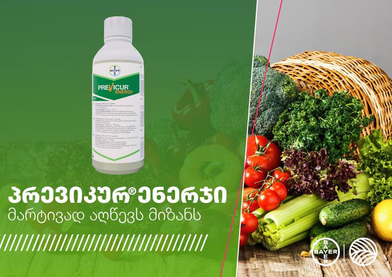 პრევიკურ ენერჯი – ინოვაციური ფუნგიციდი თქვენი ჯანსაღი მოსავლისთვის