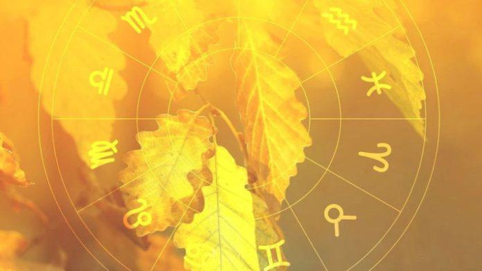 14 ნოემბრის ასტროლოგიური პროგნოზი - წარმატება ელოდება მას, ვინც მზადაა ლაპარაკიდან მოქმედებაზე გადავიდეს