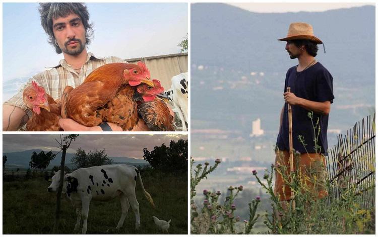 “უმძიმესი პერიოდები გამოვიარეთ, ბევრი ტრავმა მაქვს, მათ შორის ომის შიში - მიწადაკარგული ადამიანი ვიყავი“ - როგორ ცხოვრობს 22 წლის დევნილი სამაჩაბლოდან, რომელმაც საოცნებო ფერმა შექმნა