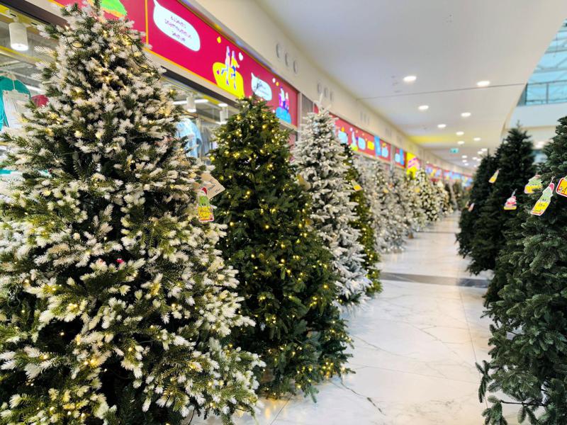 ვიშლისთში „შავი პარასკევი“ დაიწყო - შეარჩიე ნაძვის ხე ყველაზე დაბალ ფასად