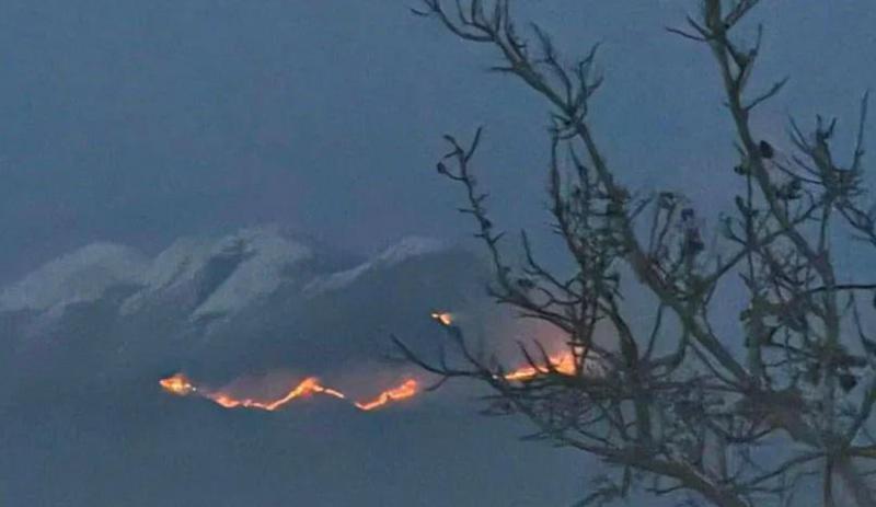 ხანძარი ყვარლის მუნიციპალიტეტში - რა ხდება ადგილზე?