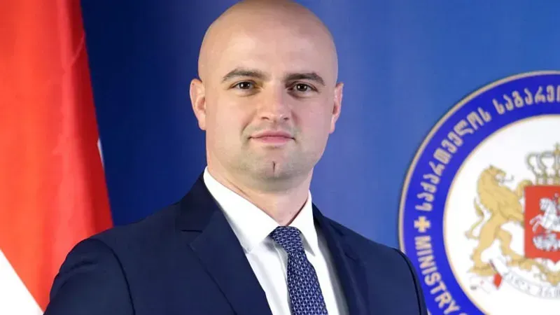 "ჩვენ, როგორც არასდროს, გვჭირდება მეტი ევროპა" - რას წერს საქართველოს ელჩი კორეაში?