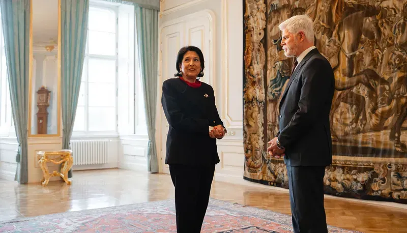 "აღფრთოვანებული ვარ ქართველი ხალხის გამბედაობით" - ჩეხეთის პრეზიდენტი