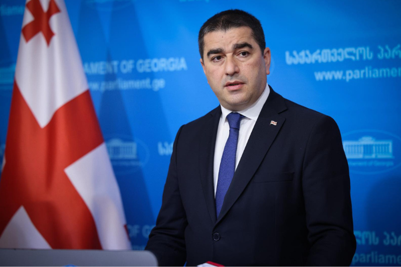 "გერმანიის ელჩმა ქართული არ იცის და სასამართლო დარბაზშიც არავინ უთარგმნის..." - შალვა პაპუაშვილი