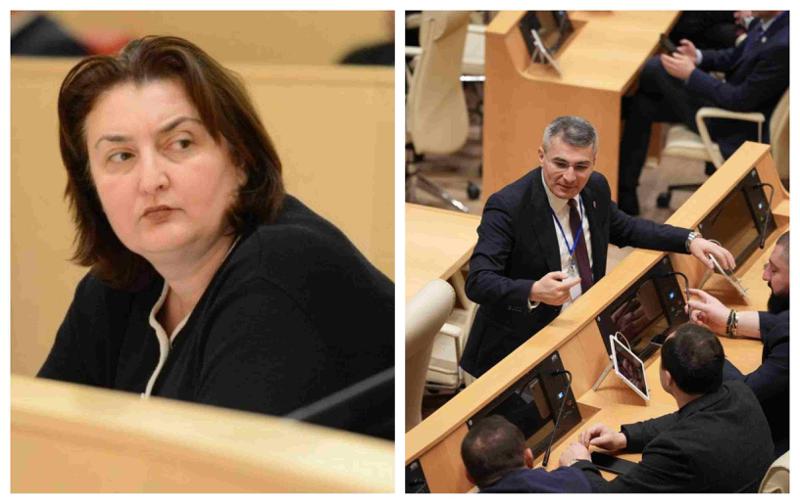 "მე არ შემოვხაზავ მიხეილ ყაველაშვილს" - აფხაზეთის უმაღლესი საბჭოს წევრი ადა მარშანია "ქართულ ოცნებას"