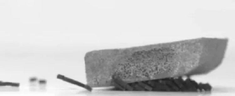 მეცნიერებმა შექმნეს მინის რობოტები, რომლებიც ჯგუფურად მოქმედებენ და კოლექტიური ცნობიერება აქვთ - შესაძლოა, ისინი ადამიანის ორგანიზმშიც შეიყვანონ