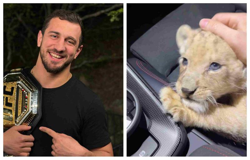 "ლომების ადგილი როდიდან არის ქალაქებში? კანონთან როგორ ხარ?" - რატომ გახდა კრიტიკის ობიექტი ლაშა ბექაურის ვიდეო, სადაც ჩანს, რომ ის ვაკეში ლომის ბოკვერთან ერთად სეირნობს